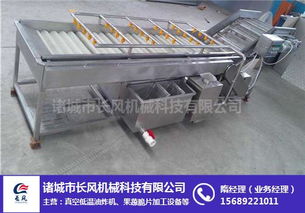枸杞翻浪清洗机生产厂家询问报价